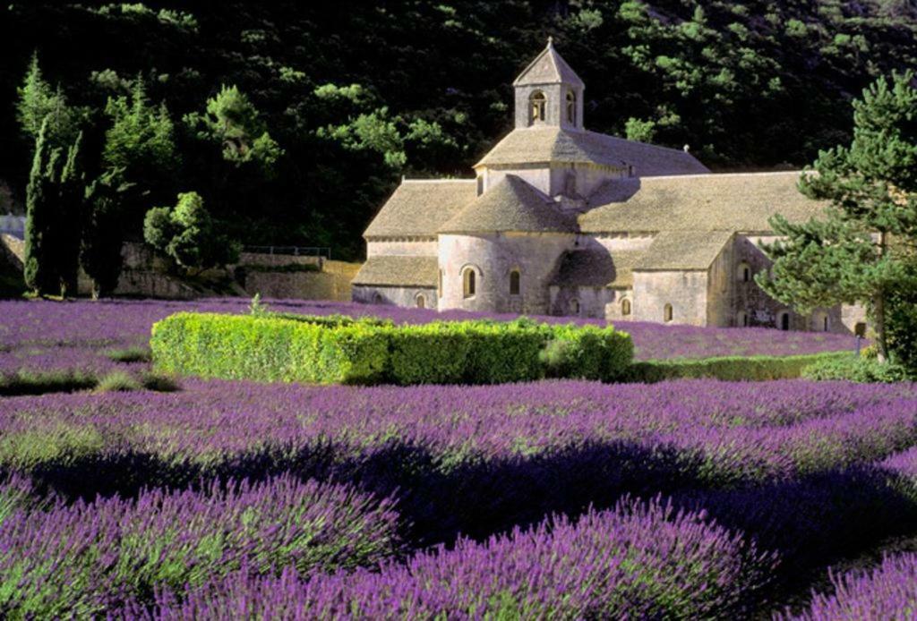 Au Bastidon De Gordes Villa Eksteriør bilde